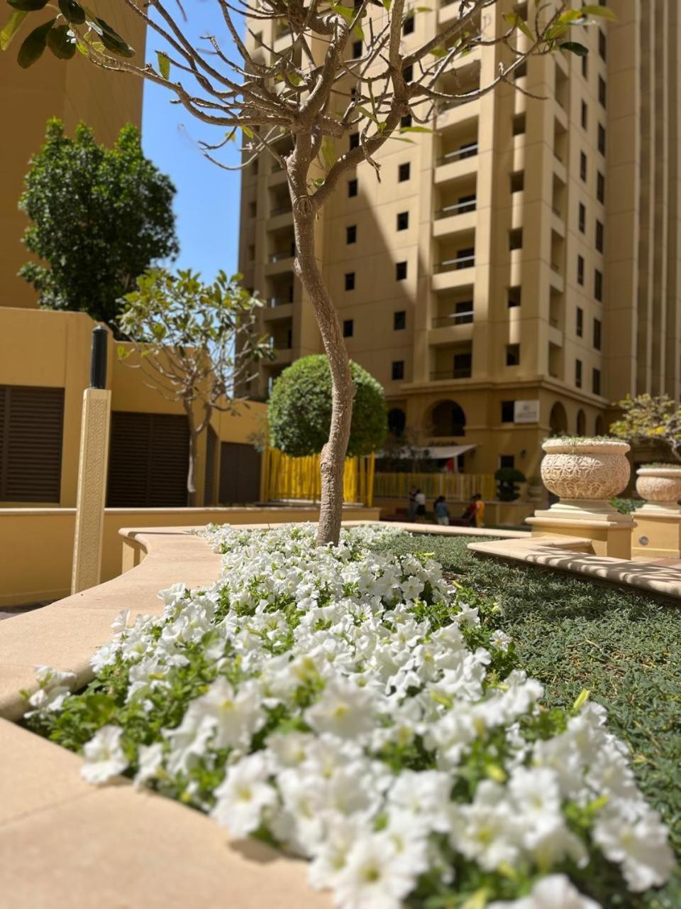 Pirates Bay Hostel Dubai Luaran gambar